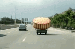 【唐樂宮】百因必有果，你愛吃的月餅就是我！(圖1)